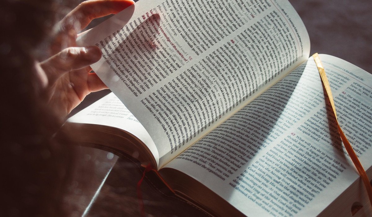 Using word families to expand your active vocabulary